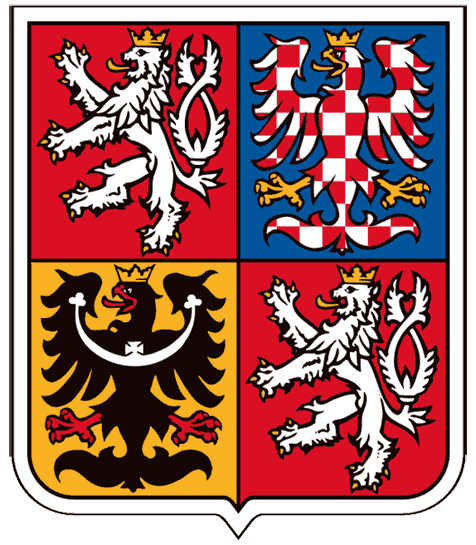 Czech Republic 1993-Pres Alternate Logo iron on transfers for T-shirts